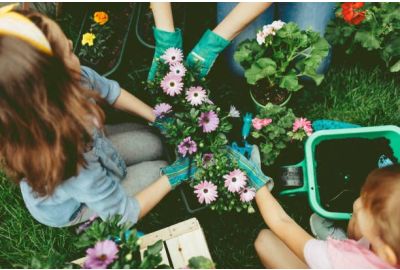 Comment choisir les meilleurs gants de jardinage pour les femmes et enfants : Guide pratique